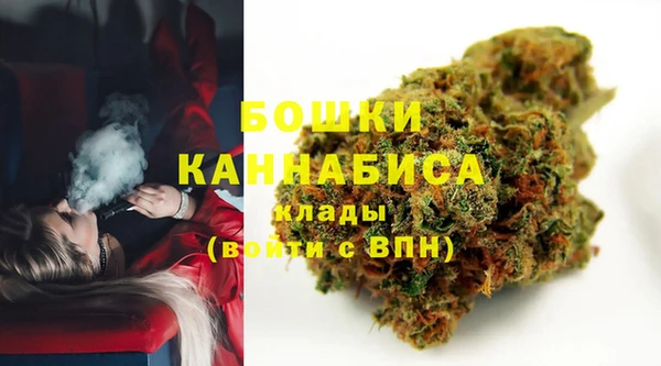 PSILOCYBIN Медвежьегорск