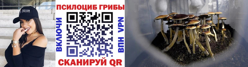 Псилоцибиновые грибы GOLDEN TEACHER купить наркотик ссылка на мегу как зайти Сычёвка